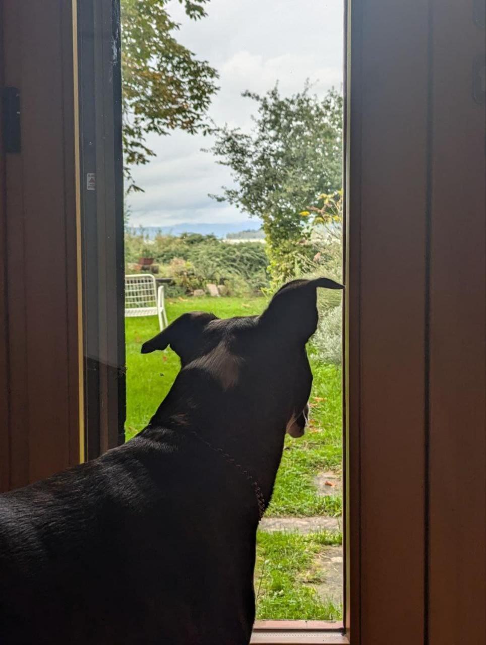 Chalet Sul Trasimeno Sant'Arcangelo  Luaran gambar